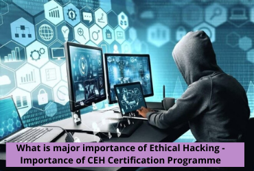 Why Is an Ethical Hacking Course Important and Why You Should Learn It